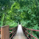 青城山旅游区 - 成都市旅游 缩略图 3