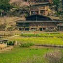 洛镇安宫阳 - 泉州市旅游 缩略图 2