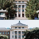 长春新民大街 - 长春市旅游 缩略图 6