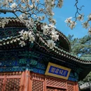 潭柘寺景区 - 北京市旅游 缩略图 2