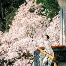 潭柘寺景区 - 北京市旅游 缩略图 1