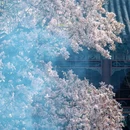 潭柘寺景区 - 北京市旅游 缩略图 6