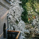 潭柘寺景区 - 北京市旅游 缩略图 8