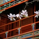 潭柘寺景区 - 北京市旅游 缩略图 7