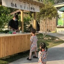 罗浮山风景名胜区 - 惠州市旅游 缩略图 5