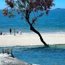 黄厝海滩 - 厦门市旅游 缩略图 5
