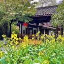 三清书院·老成都咖啡厅 - 成都市旅游 缩略图 8