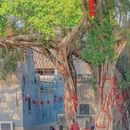 烟桥古村 - 佛山市旅游 缩略图 2