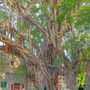 烟桥古村 - 佛山市旅游 缩略图 9
