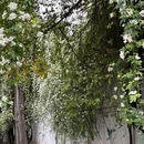 一介·巷子里 - 成都市旅游 缩略图 3