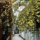 一介·巷子里 - 成都市旅游 缩略图 1