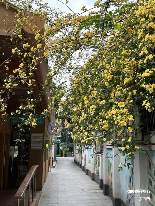 一介·巷子里 - 成都市旅游