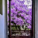 网师园 - 苏州市旅游 缩略图 2