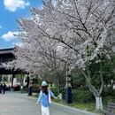 淹城春秋乐园 - 常州市旅游 缩略图 1