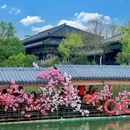 淹城春秋乐园 - 常州市旅游 缩略图 2