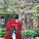 淹城春秋乐园 - 常州市旅游 缩略图 8