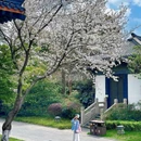 淹城春秋乐园 - 常州市旅游 缩略图 6