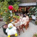 那边院儿·功夫茶·煮老陈皮 - 成都市旅游 缩略图 9