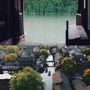 乌镇古镇旅游区 - 嘉兴市旅游 缩略图 2