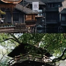 乌镇古镇旅游区 - 嘉兴市旅游 缩略图 3