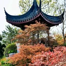 上海滨江森林公园 - 上海市旅游 缩略图 9