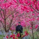 栖霞山风景名胜区 - 南京市旅游 缩略图 2