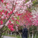 栖霞山风景名胜区 - 南京市旅游 缩略图 1