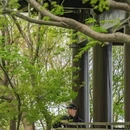 栖霞山风景名胜区 - 南京市旅游 缩略图 3