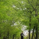 栖霞山风景名胜区 - 南京市旅游 缩略图 9