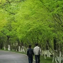 栖霞山风景名胜区 - 南京市旅游 缩略图 6