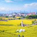 下陈书院 - 厦门市旅游 缩略图 3