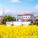 下陈书院 - 厦门市旅游 缩略图 4