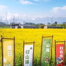 下陈书院 - 厦门市旅游 缩略图 8