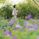 虎丘山风景名胜区 - 苏州市旅游 缩略图 4
