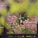 虎丘山风景名胜区 - 苏州市旅游 缩略图 2