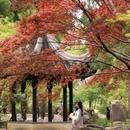 虎丘山风景名胜区 - 苏州市旅游 缩略图 1