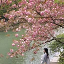 虎丘山风景名胜区 - 苏州市旅游 缩略图 3