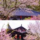 影视基地-三国水浒城 - 无锡市旅游 缩略图 3