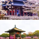 影视基地-三国水浒城 - 无锡市旅游 缩略图 9