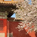 故宫博物院-文华殿 - 北京市旅游 缩略图 5