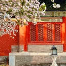 故宫博物院-文华殿 - 北京市旅游 缩略图 1