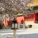 故宫博物院-文华殿 - 北京市旅游 缩略图 3