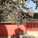 故宫博物院-文华殿 - 北京市旅游 缩略图 8