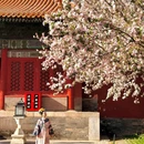 故宫博物院-文华殿 - 北京市旅游 缩略图 6