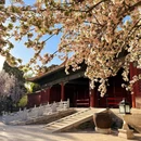 故宫博物院-文华殿 - 北京市旅游 缩略图 9