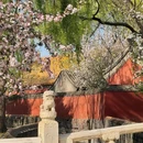 故宫博物院-文华殿 - 北京市旅游 缩略图 7