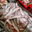 平阳县粮食和物资储备局 - 温州旅游 缩略图 8