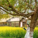 乌镇西栅景区1号游客服务中心 - 嘉兴市旅游 缩略图 4