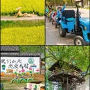 乌镇西栅景区1号游客服务中心 - 嘉兴市旅游 缩略图 7