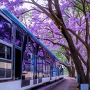 昆明植物园 - 昆明市旅游 缩略图 4